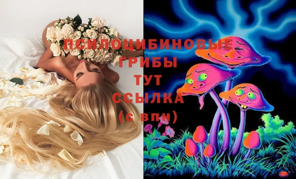 ГАЛЛЮЦИНОГЕННЫЕ ГРИБЫ Абдулино