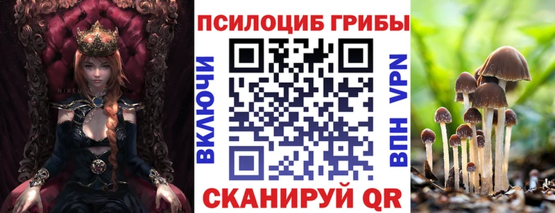 мега ссылка  дарк нет официальный сайт  Галлюциногенные грибы Psilocybe  Новое Девяткино 